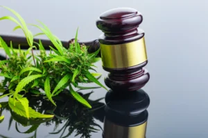 HashStoria Cannabis Regulation