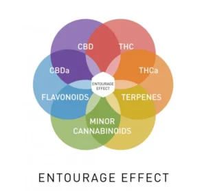 HashStoria Entourage Effect Chart